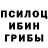 Псилоцибиновые грибы GOLDEN TEACHER Shamshod Amirqulov