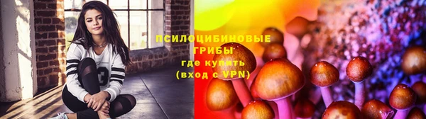 СК Елабуга