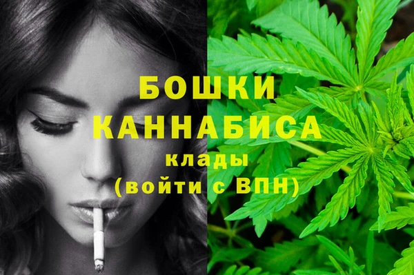 ГАЛЛЮЦИНОГЕННЫЕ ГРИБЫ Сосновый Бор