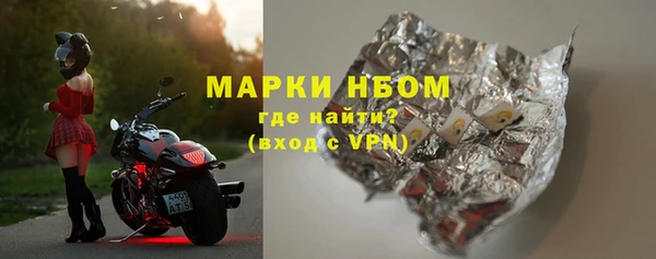 прущие грибы Сосновка