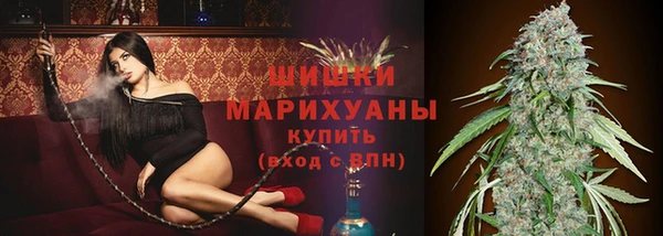 СК Елабуга