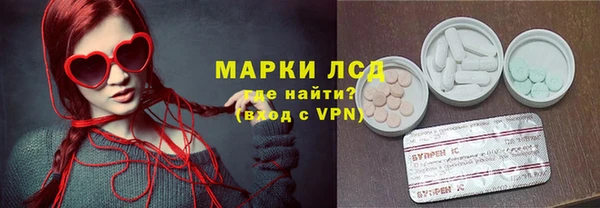 СК Елабуга