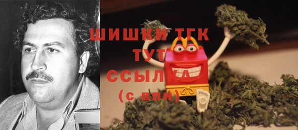 СК Елабуга