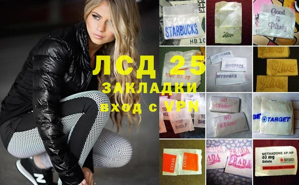 ГАЛЛЮЦИНОГЕННЫЕ ГРИБЫ Сосновый Бор
